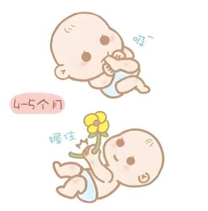 5���µĺ��ӻ������ö���